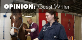 A veterinarian might save your life A veterinarian might save your life