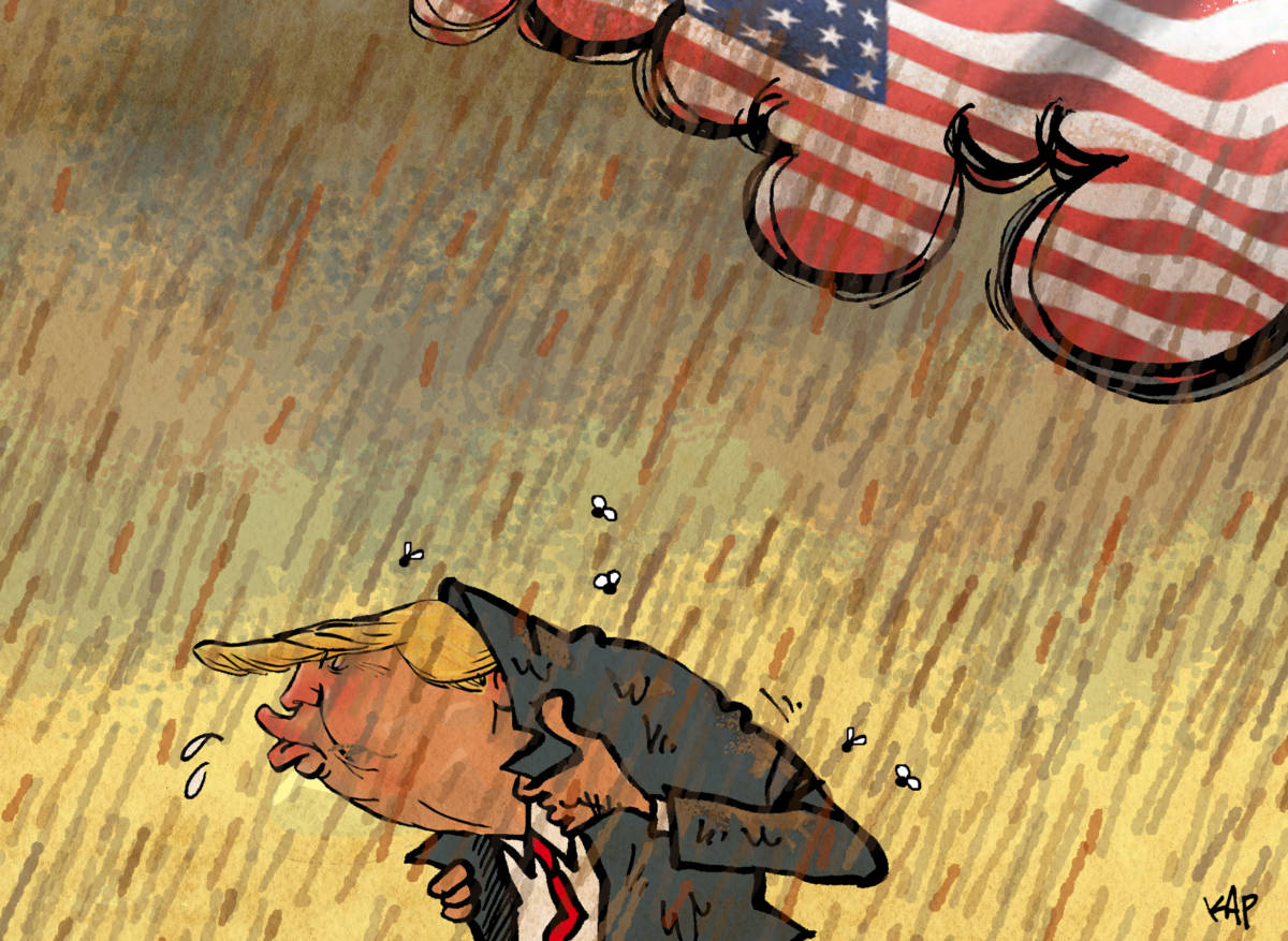 Stormy Trump by Kap