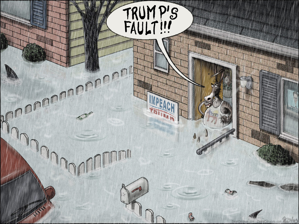 Revision Trump Hurricane by Sean Delonas