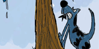 Political Family Feud Political Family Feud