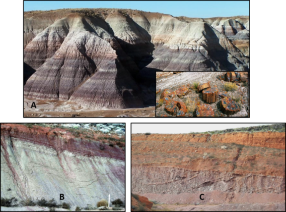 Our Geological Wonderland: “Don’t build on blue clay!” In southern Utah, Blue clay primarily occurs within the upper member of the Chinle Formation.