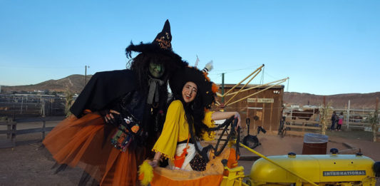 Staheli Family Farm has several fall events lined up including Witchy Weekends, Witches Night Out, Waffles & Witches, Giant Pumpkin Drop, and more.