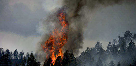 Two fires in Dixie National Forest and Bryce Canyon National Park — the Riggs Fire and the Lonely Fire — have increased in size to over a thousand acres.