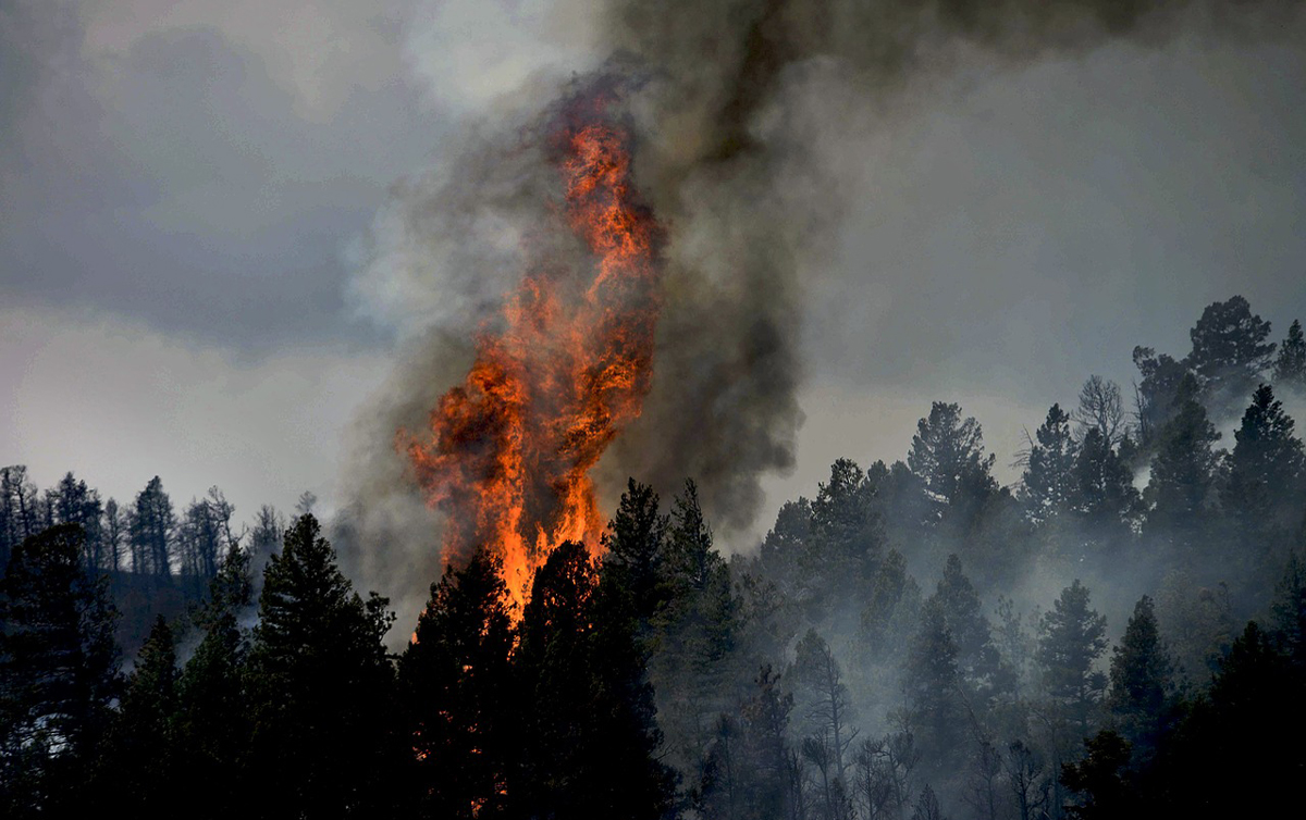 Two fires in Dixie National Forest and Bryce Canyon National Park — the Riggs Fire and the Lonely Fire — have increased in size to over a thousand acres.