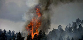 Riggs Fire and Lonely Fire approaching 2,000 acres in size While the Riggs Fire and the Lonely Fire had minimal growth Sept. 18, the reported acres are currently 1,077 for the Riggs Fire and 788 acres for the Lonely Fire.
