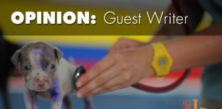 Animal research is crucial for pets — and their owners Thanks to animal research, eradicating cancer with a single shot could soon be scientific fact. Impeding this research would be a disaster.