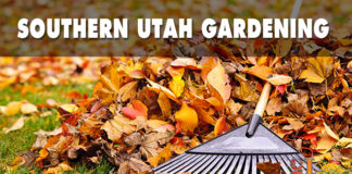 Southern Utah Gardening: Six focus areas for fall yard care By investing time before winter takes over, you can ensure healthier and happier plants next spring. Consider these tips for fall yard care.