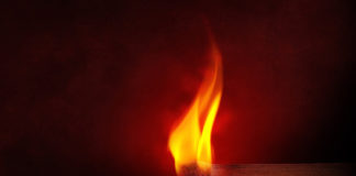 NPS conducts prescribed burning in Grand Canyon-Parashant National Monument Visitors may encounter National Park Service firefighters conducting a prescribed burning in Grand Canyon-Parashant National Monument Sept. 14.