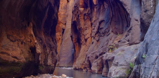 Zion National Park stops issuing top-down permits for The Narrows Zion National Park has stopped issuing wilderness permits to hike the Zion Narrows from North to South ("top-down"). This includes the 16-mile one-way day hike and all overnight use.