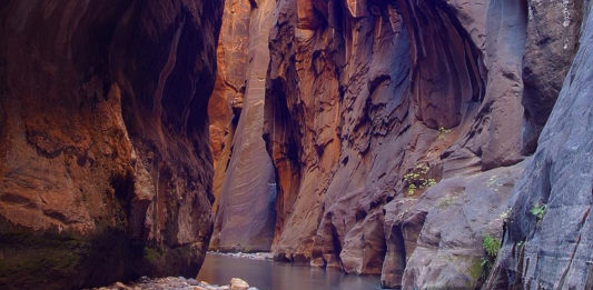 Zion National Park has stopped issuing wilderness permits to hike the Zion Narrows from North to South ("top-down"). This includes the 16-mile one-way day hike and all overnight use.