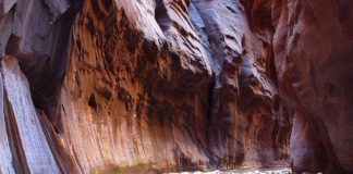 Zion National Park resumes issuing Narrows permits Zion National Park resumes issuing Narrows permits Sept. 29 due to temporary recreational access license being granted to Washington County.