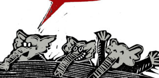 Savior Savior, Randall Enos, brett kavanaugh,senate conformation hearings,gop,republicans