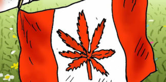 Cannabis Trudeau Cannabis Trudeau, Marian Kamensky, southern Utah, Utah, St. George, The Independent, cannabis,canada,trudeau,legal,marijuana