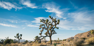 Gov. Herbert issues drought executive order Utah remains in a serious drought. As a result, Utah Gov. Gary R. Herbert issued today a drought executive order declaring a state of emergency.