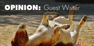 Democrats rediscover a losing formula The Democrats rediscover a losing formula by harassing people in restaurants, sending profane tweets, producing faulty DNA samples, and more.