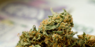 Backers of Utah Medical Marijuana Initiative reach deal with Legislative leaders, LDS Church representatives, and Utah Medical Association Backers of the Utah medical marijuana initiative and other organizations reached an agreement to an alternative medical cannabis law to Proposition 2.