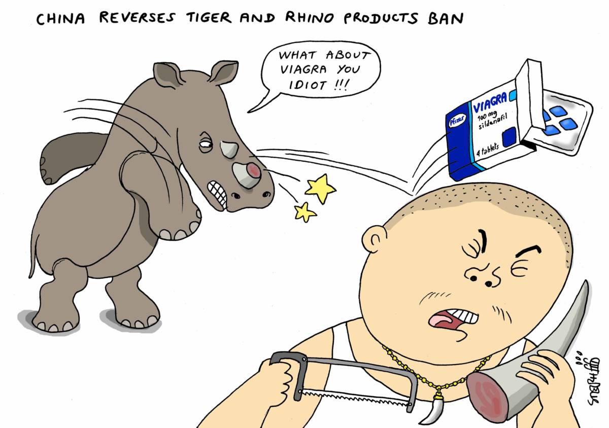 China reverses ban on Rhino products, Stephane Peray, southern Utah, Utah, St, George, The Independent, Rhino, Tiger , China