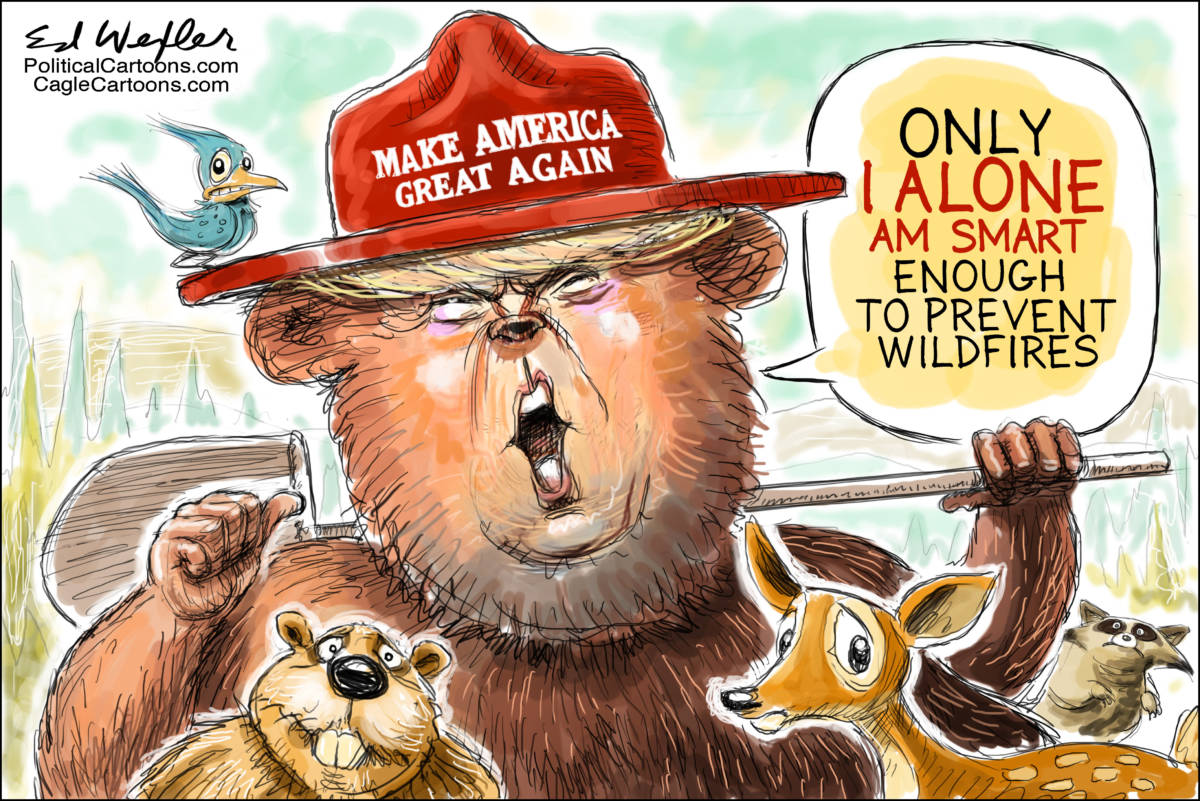 Trump Smokey Bear, Ed Wexler, southern Utah, Utah, St. George, The Independent, trump, deadlywildfires, blame, grossmismanagement, withholdfederalpayments, climatechange