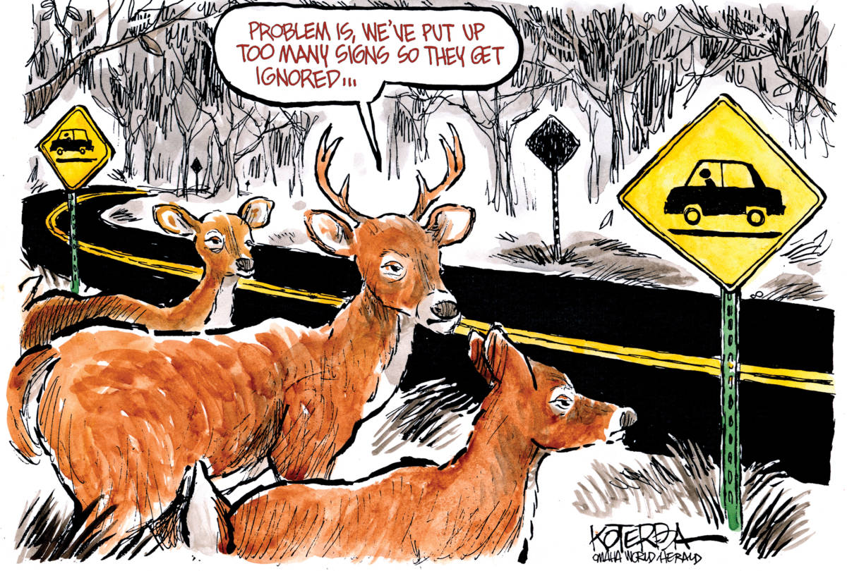 Deer in the Headlights, Jeff Koterba, southern Utah, Utah, St. George, The Independent, Koterba, deer, roads, highways, safety, driving, rural
