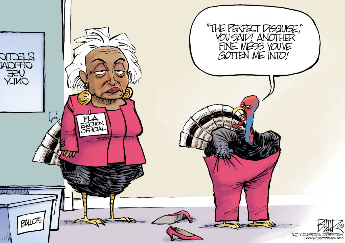 Florida Turkeys, Nate Beeler, southern Utah, Utah, St. George, The Independent, thanksgiving, turkey, holiday, brenda snipes, florida, election, official, ballot, vote, 2018, recount, politics, disguise