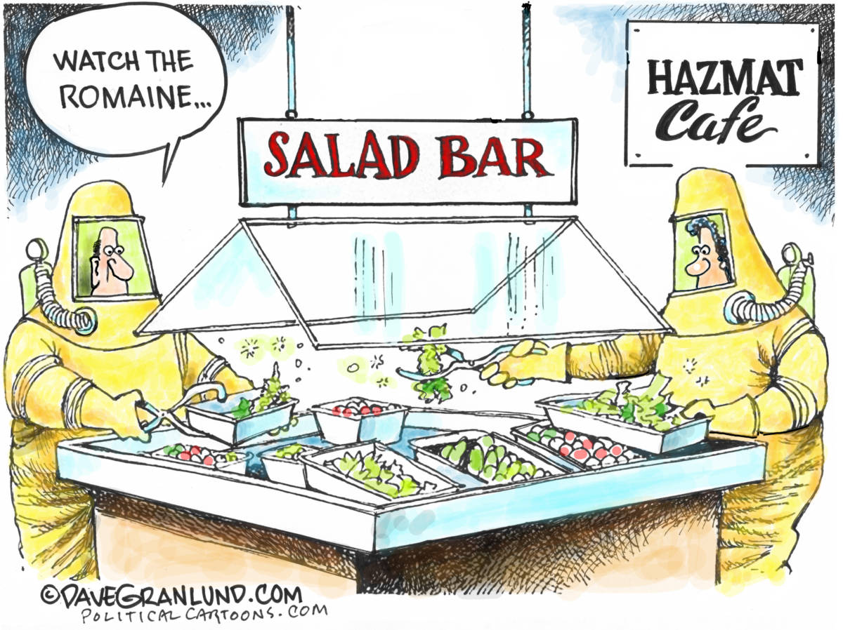 Romaine lettuce Ecoli, Dave Granlund, southern Utah, Utah, St. george, The Independent, Toxic, sickness, recall, crop, greens, salads, food, CDC, avoid, throw out, illness, contaminated, produce, alert, notice, fields, farming