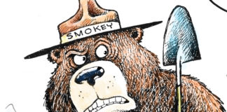 California fires blame California fires blame, Dave Granlund, southern Utah, Utah, St. George, The Independent, fire, blame, wildfires, camp fire, forest management, deadly, fatalities, president, trump