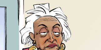 Florida Turkeys Florida Turkeys, Nate Beeler, southern Utah, Utah, St. George, The Independent, thanksgiving, turkey, holiday, brenda snipes, florida, election, official, ballot, vote, 2018, recount, politics, disguise