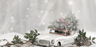 Southern Utah Events Guide southern utah events guide CoverDecember062018