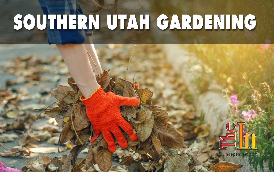 Southern Utah Gardening: Consider these pruning pointers and tips for fall yard projects.