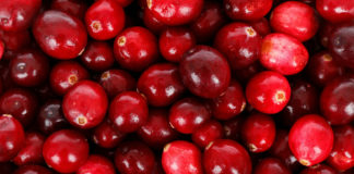 Cranberries are a healthy choice Cranberries can be found in stuffing, dressing, relishes, and of course cranberry sauce. Consider these tips on cranberry selection and use.