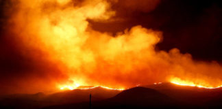 California wildfires emitted as much carbon dioxide as year’s worth of electricity According to data analyzed by the U.S. Geological Survey, the 2018 California wildfires are estimated to have released emissions equivalent to roughly 68 million tons of carbon dioxide.