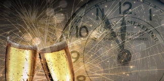 Southern Utah Events Guide southern utah adoptable pets CoverDecember292018