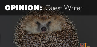 Have yourself a merry little hedgehog Have yourself a merry little hedgehog. I have two for sale now. Heck, I'll even throw in a pair of toenail clippers and a gently-used hazmat suit.