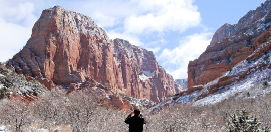 Zion National Park will test mandatory shuttle service within the park and in Springdale to help visitors make connections within the park and the town.