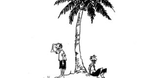 Another Presidential Candidate Another Presidential Candidate, Bill Schorr, southern Utah, Utah, St. George, The Independent, President,2020,desert island,ship wreck,shipwrecked,stranded,palm tree,campaign,politics, democratic party primary campaign 2020 presidential race politics