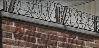 Wall Trump Pelosi Wall Trump Pelosi, Sean Delonas, southern Utah, Utah, St. George, The Independent, President Donald Trump, Speaker Nancy Pelosi, Immigration, Funding Border Wall, Government Shutdown, Democrats,