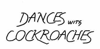 Dances with Cockroaches Dances with Cockroaches, Stephane Peray, southern Utah, Utah, St. George, The Independent, Nathan Phillips , Native Americans , Wall, Trump, immigration , racism , first nations
