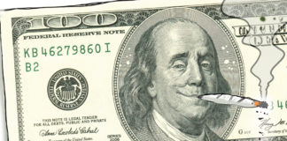 Legalized marijuana revenue Legalized marijuana revenue, John Cole, southern Utah, Utah, St. George, The Independent, Pennsylvania, marijuana, legalized, recreational, pot, taxes, state budget, revenue, Tom Wolf, John Fetterman