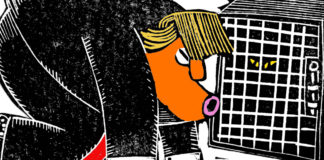 Plan B Plan B, Randall Enos, southern Utah, Utah, St. George, The Independent, trump,border wall,government shutdown,national emergency,illegal immigration,security funding