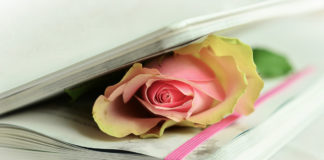 Z-Arts hosts poetry reading by Kimberly Johnson Z-Arts will host a poetry reading by Kimberly Johnson in the Canyon Community Center in Springdale. The event is free and open to the public.