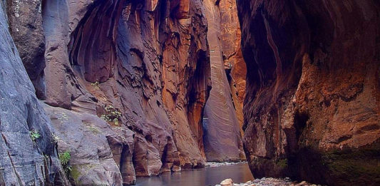 The Trust for Public Land and Washington County announced that an agreement has been extended to allow public access to Zion Narrows Trail until March 31.