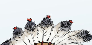 Warren One in 1024th Credible Warren One in 1024th Credible, Nate Beeler, southern Utah, Utah, St. George, The Independent, native american,indian,race,identity,2020,1024th,888,american indian,Pocahontas,Elizabeth Warren,Senate,Senator,elizabeth warren