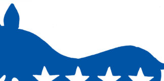 2020 Democrat Platform 2020 Democrat Platform, Bob Englehart, southern Utah, Utah, St. George, the Independent, Democrat Platform,2020 Election,Presidential,Democratic Party,Green New Deal, Socialism,President,Campaign,Socialist,Bernie Sanders,AOC