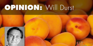 Peaches the Wall President Donald Trump loves him some wall. He even said opponents can name it "peaches." So Peaches the Wall it is.
