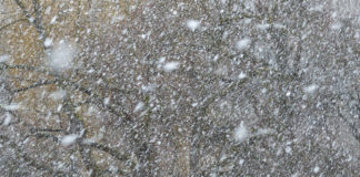 Tips for weathering winter storms The best tips for winter storms are be informed, be prepared, be cautious, and be a good neighbor. Consider these tips for weathering winter storms.