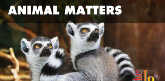 All animals matter Not everyone is in a position to help animals, but everyone is in a position to refrain from intentionally harming them. All animals matter.