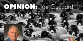 The Swamp swallows Trump With Trump's promotion of more immigration to grow our population even larger, it appears the Swamp has swallowed whole the country's chief executive.