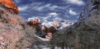 As Zion National Park braces for snowstorm, delays and closures likely A Winter Storm Warning has been issued. As up to two feet of snow are expected in Zion National Park, closures and delays are likely.
