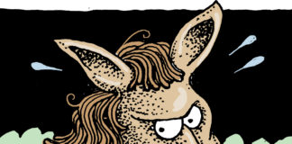 Fractured Democrats Fractured Democrats, Wolverton, southern Utah, Utah, St. George, The Independent, Democrats, Progressives, Socialists, Congress, House, Pelosi, Moderates