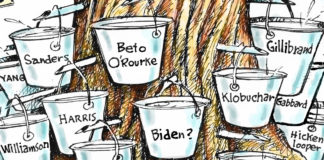 2020 Democrats running 2020 Democrats running, Dave Granlund, southern Utah, Utah, St. George, The Independent, politics, presidential, candidates, democratic, party, boiling down, one, many, hopefuls, campaigns, primaries, primary